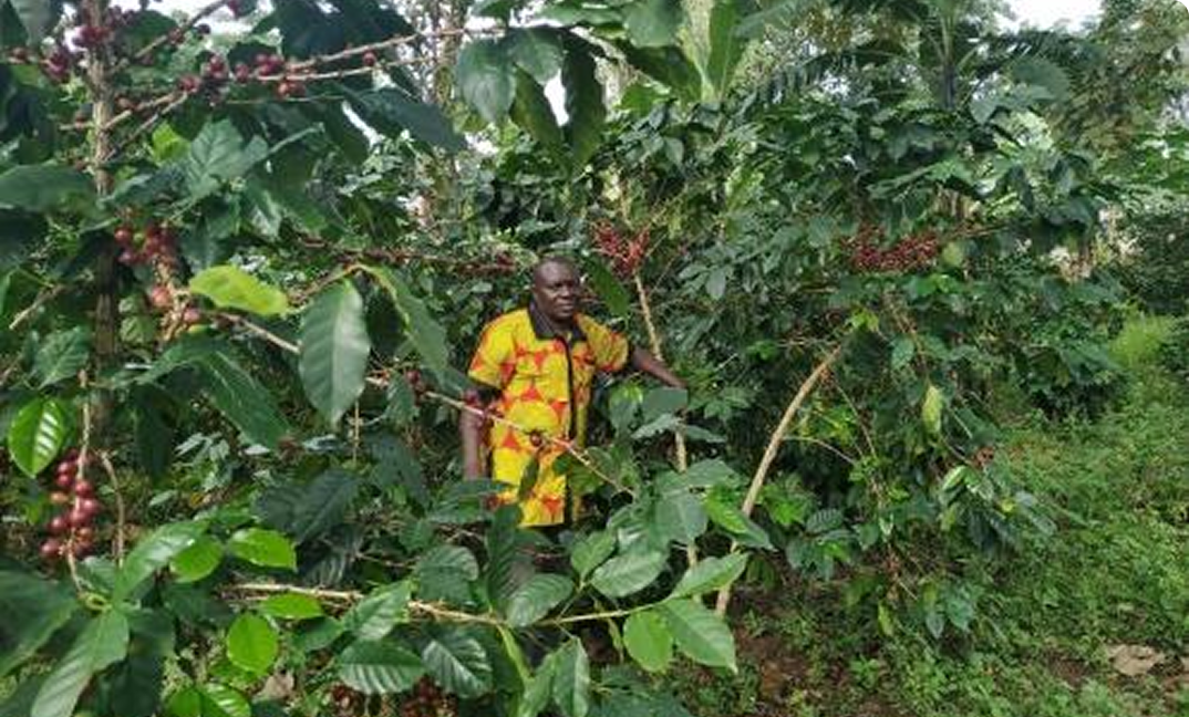 Butta Farmers&rsquo; Cooperative Society