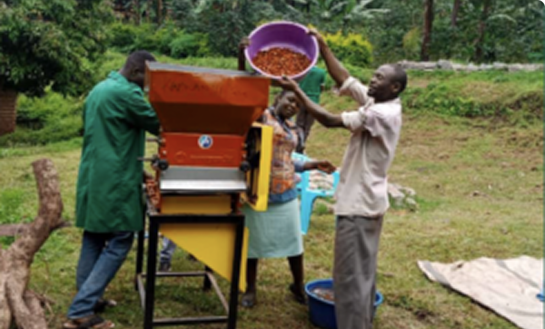 Mount Elgon Agroforestry Communities Cooperative Enterprise