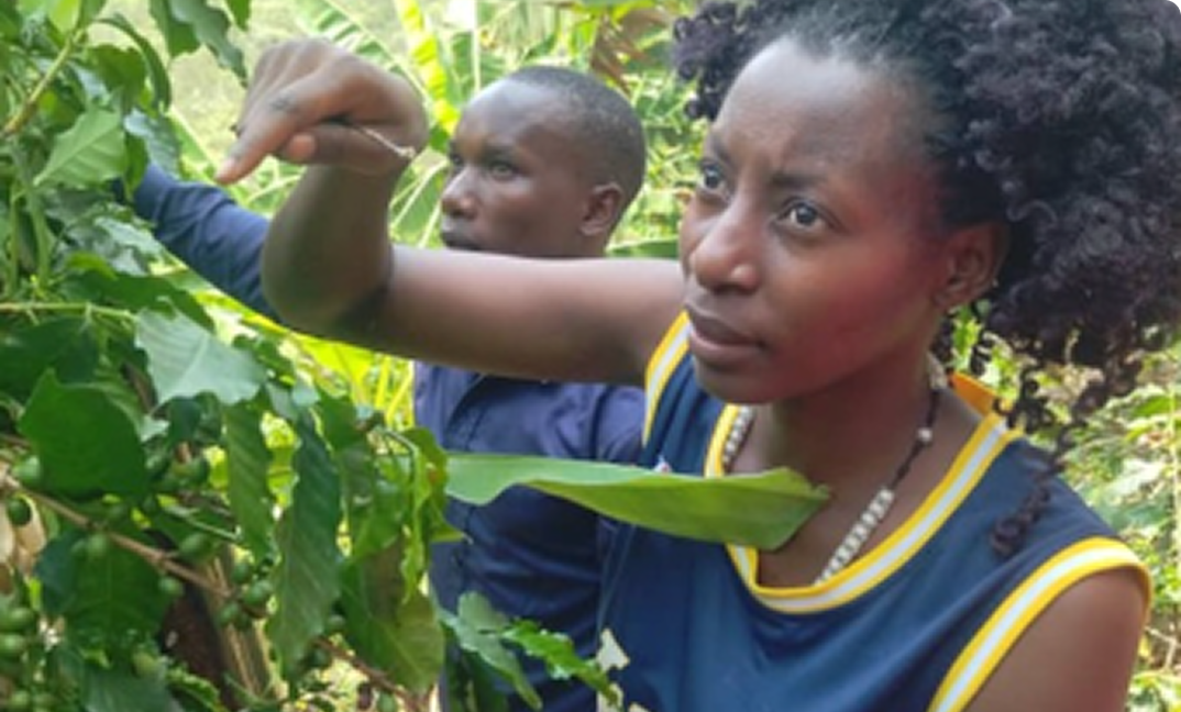 Rwandaro Coffee Farmers&rsquo; Cooperative Society