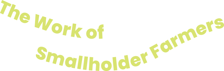 The work of Smallholders Farmers